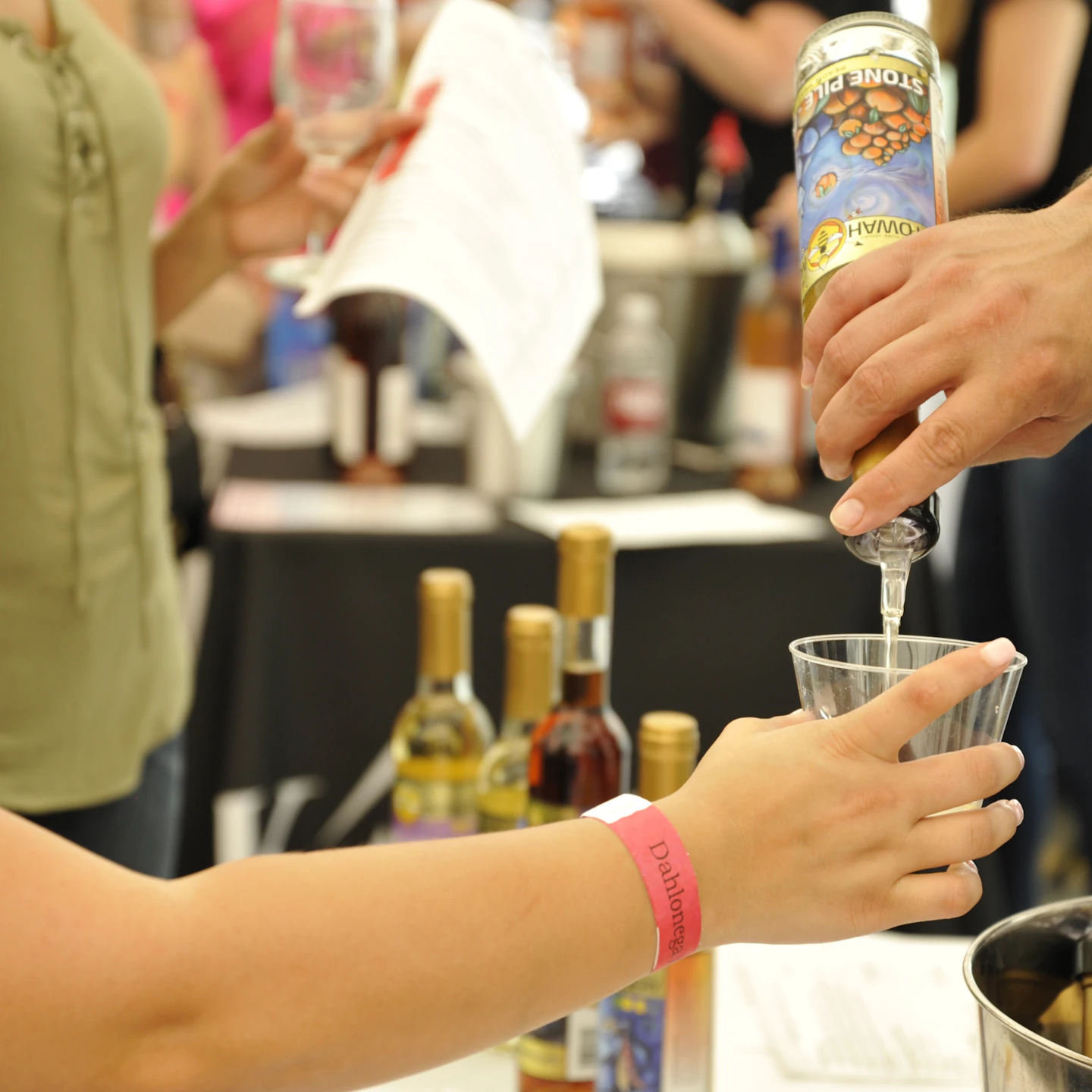 Dahlonega Arts & Wine Festival